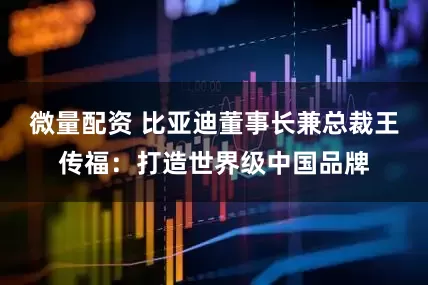 微量配资 比亚迪董事长兼总裁王传福：打造世界级中国品牌